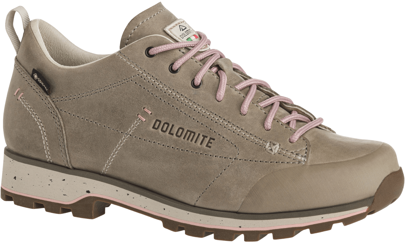 productImage: 54 Low Fg Evo GTX naisten kengät, Aluminium Grey
