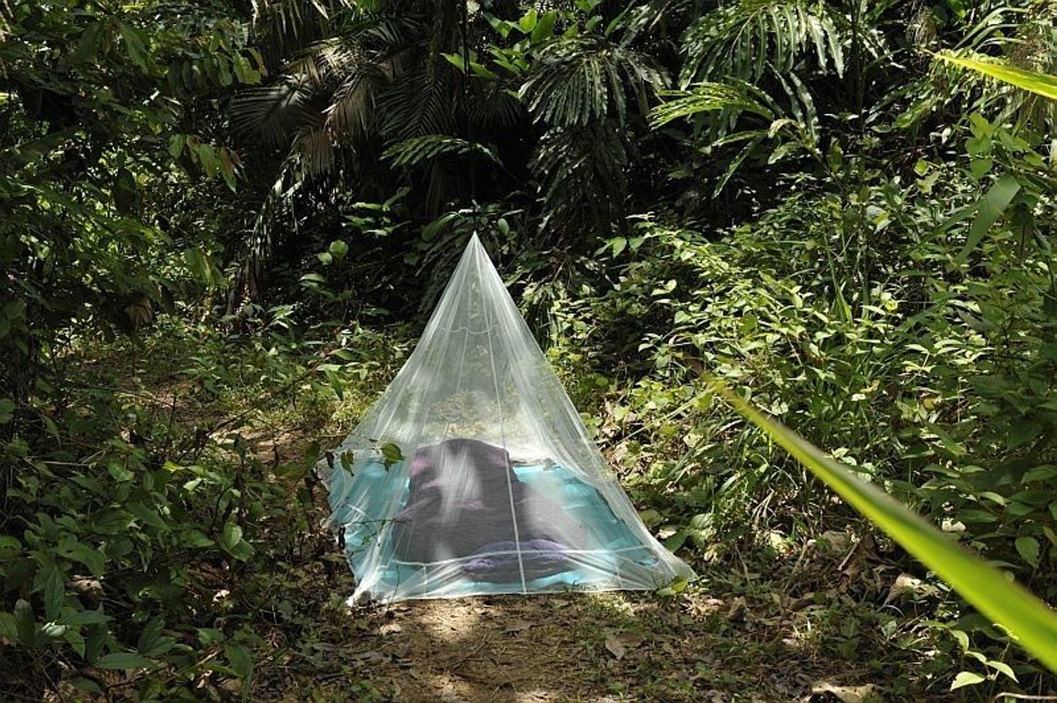 productImage: Outdoor Net Single Silt Green