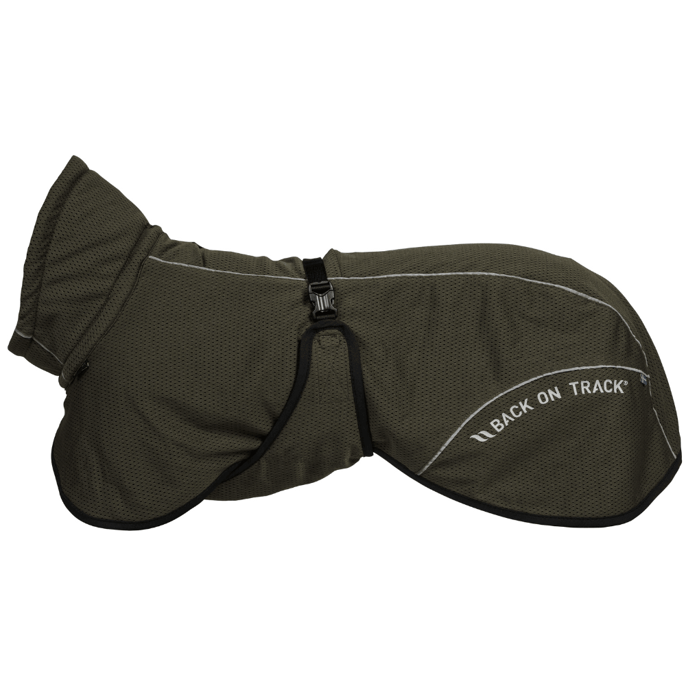 productImage: Bay Mesh Coat Low Set Tail 70-80 cm Olive