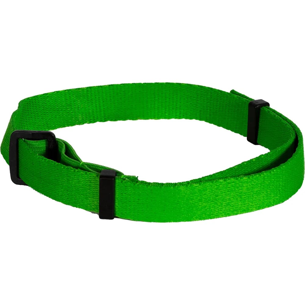 productImage: Fästinghalsband För Hund Small <40Cm