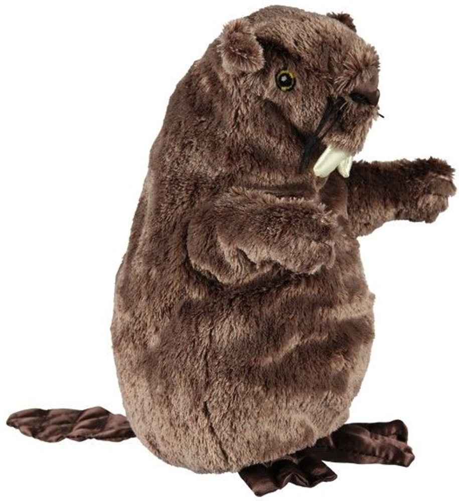 productImage: majava koiranlelu, 27cm