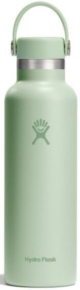 productImage: Standard 21oz (621ml) Solid Aloe