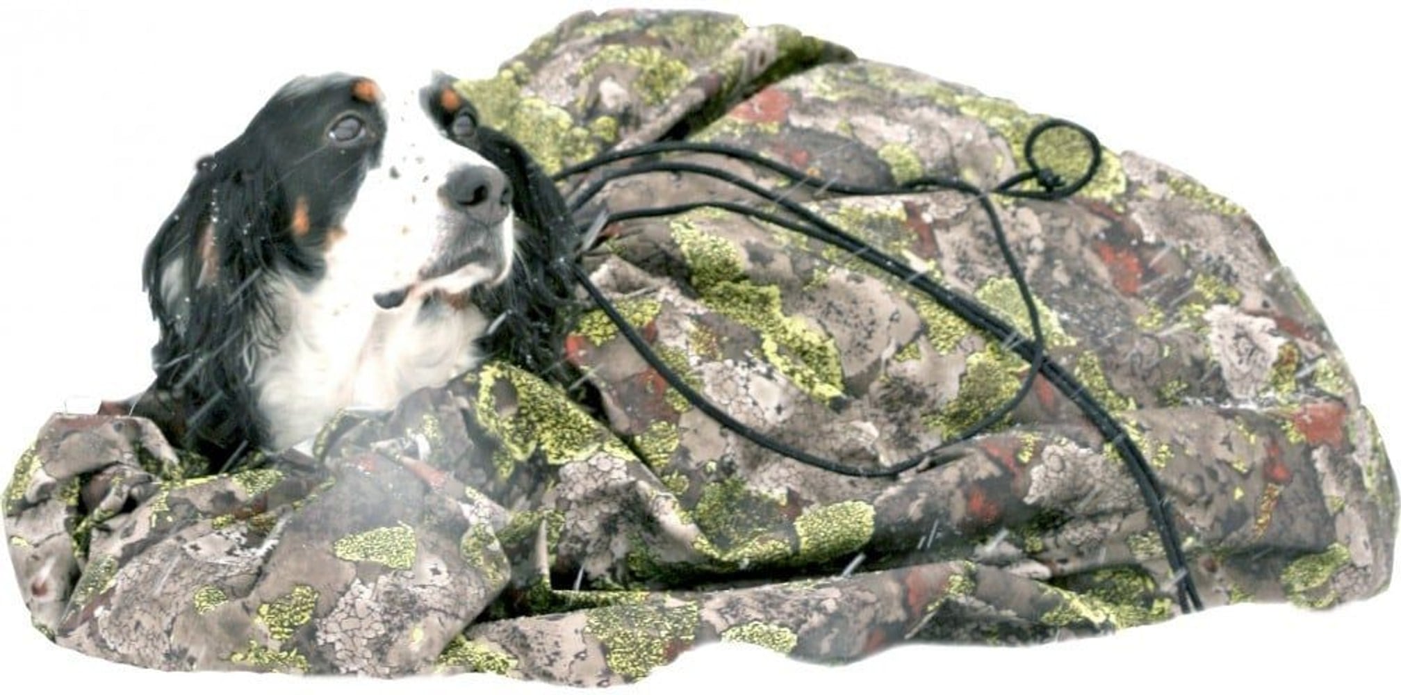 productImage: Thermo Mountain Hund L