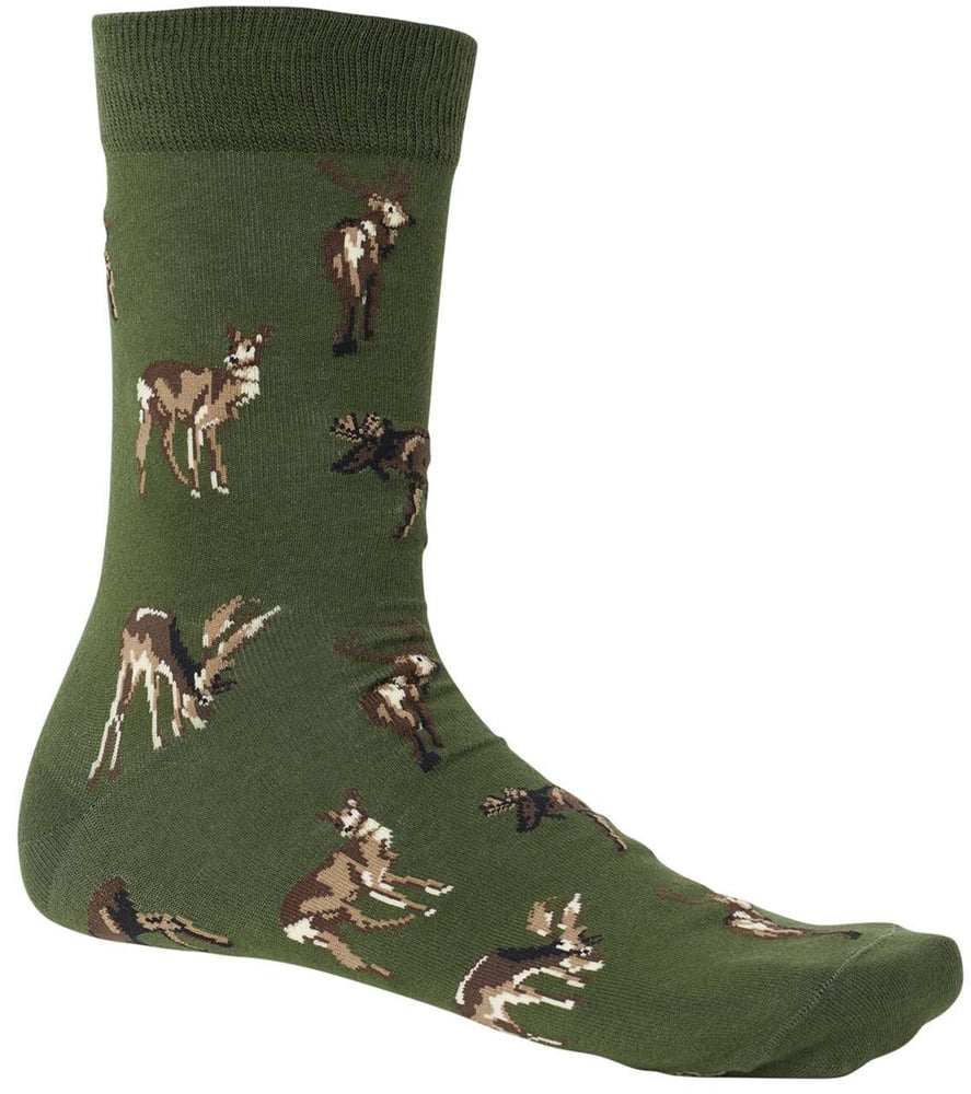 productImage: Pomeroy Socks sukka, vhreä