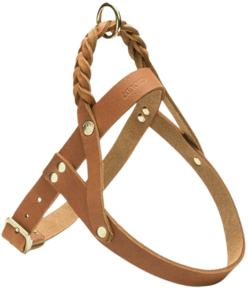 Harness Central Park nahkavaljaat, XS-S, vaaleanruskea, view: 1