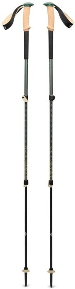 productImage: Trail Cork Trekking Poles Laurel Green