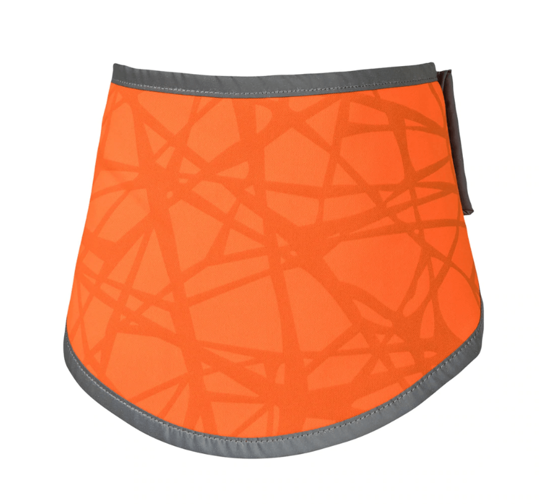 productImage: Back on Track Draco koiran huomiohuivi, oranssi S-XL
