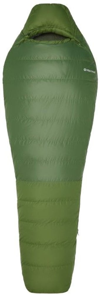 productImage: Mad River 30 Short Foliage/Rosin Green