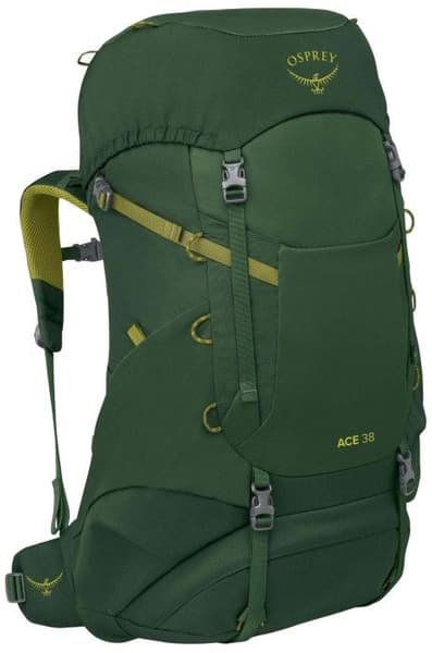 Green Canopy/Matcha Green