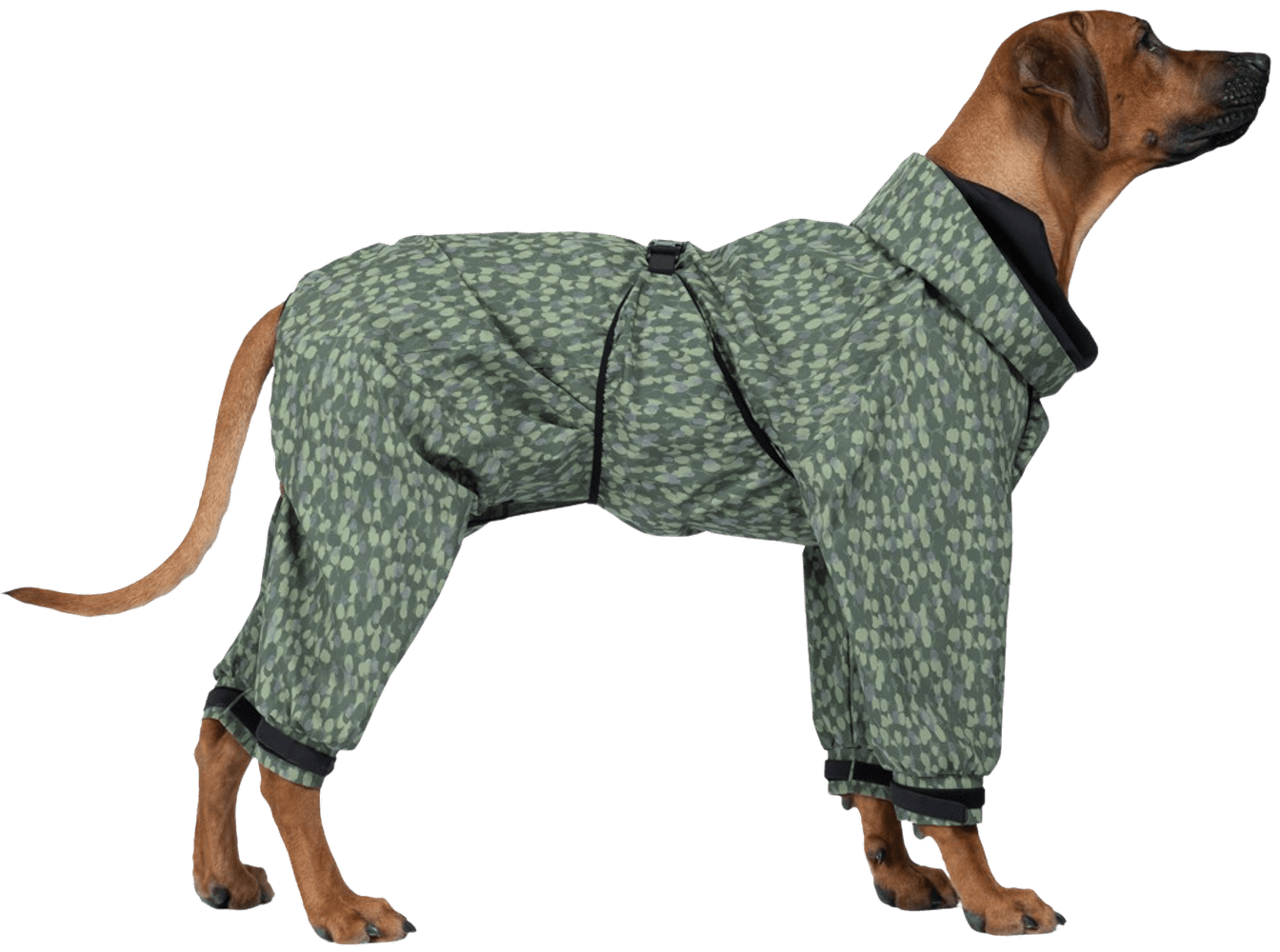 productImage: Rain Suit koiran sadetakki, Green