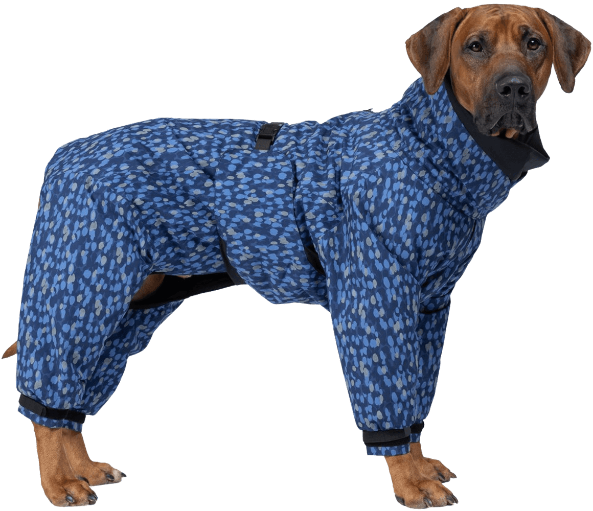 productImage: Winter Suit koiran takki, Blue