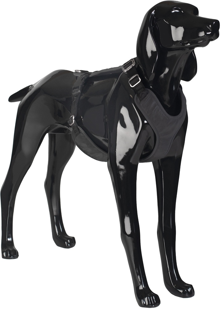 productImage: Visibility Harness koiran valjaat, S, Dark