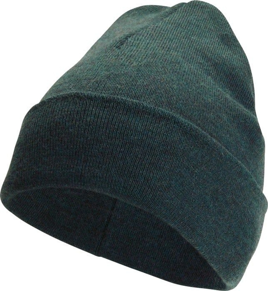 productImage: Beanie -pipo, Classic Forest Green