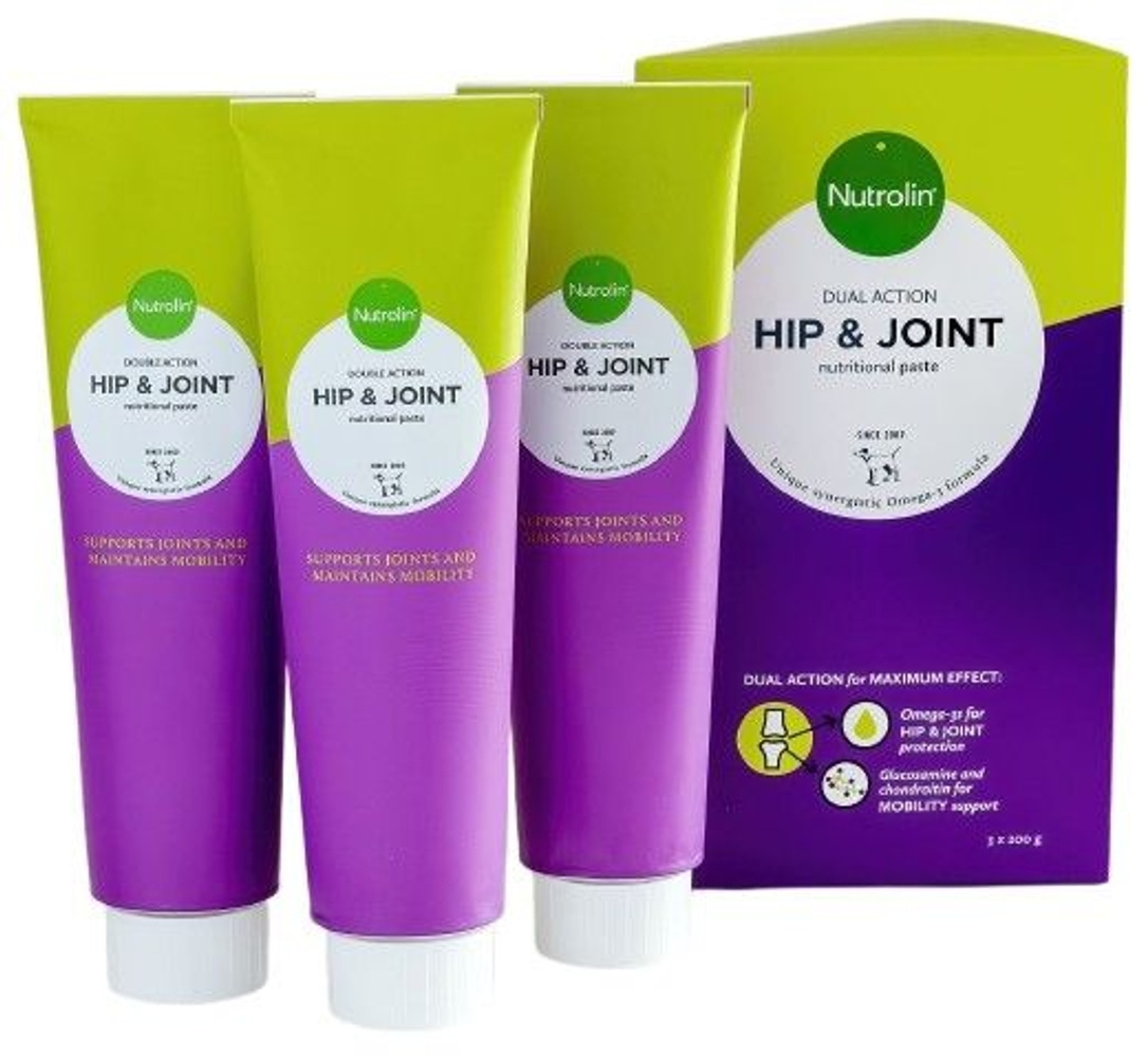 productImage: Hip & Joint Paste 600 g