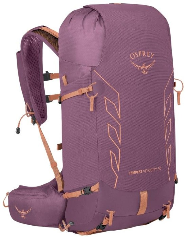 productImage: W's Tempest Velocity 30L Pashmina/Melon