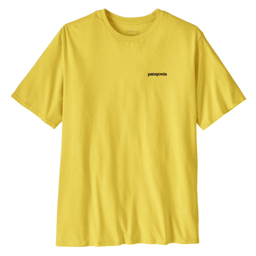 P-6 Outline: Lemon Zest