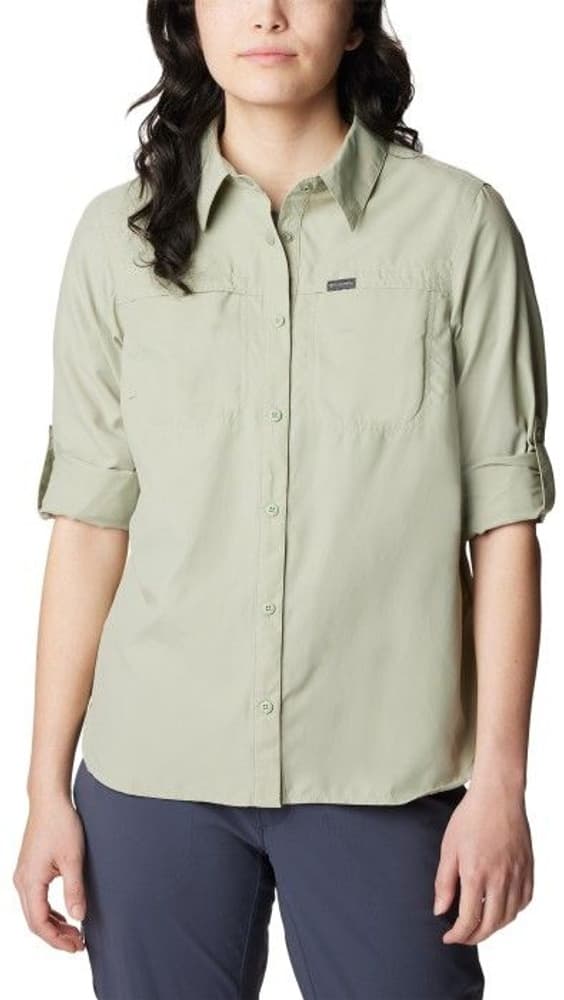 Safari