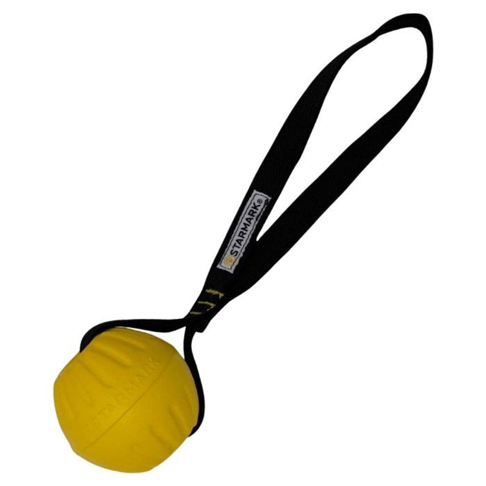 productImage: Starmark Gripcord Durafoam Ball Loop M