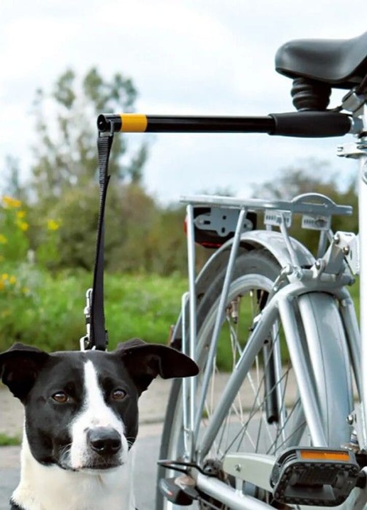 productImage: Pawise Hands Free Doggy Bike Exerciser Leash