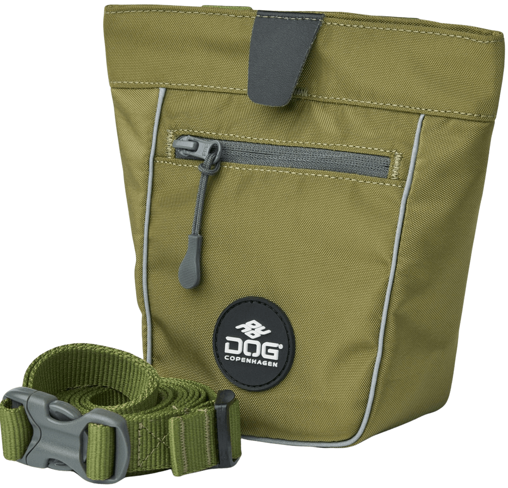 productImage: Go Explore Treat Bag Hunting Green