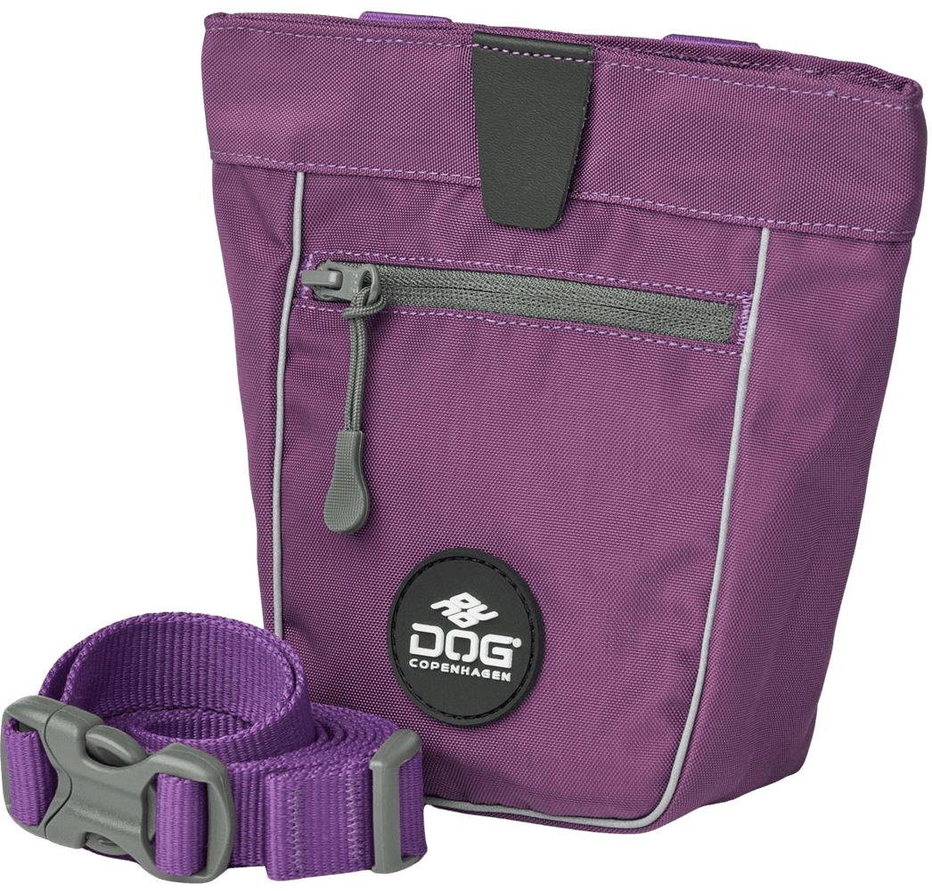 productImage: Go Explore Treat Bag Purple Passion