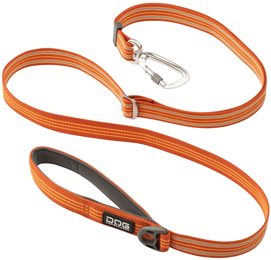 productImage: Urban Freestyle Leash Orange Sun
