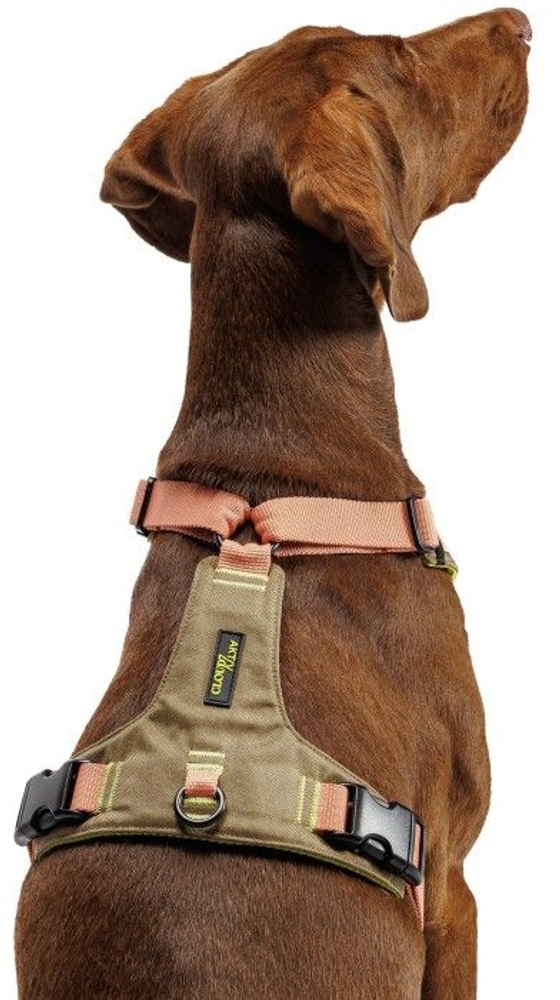 productImage: Y-2-Harness Khaki / M-L/XL Peach