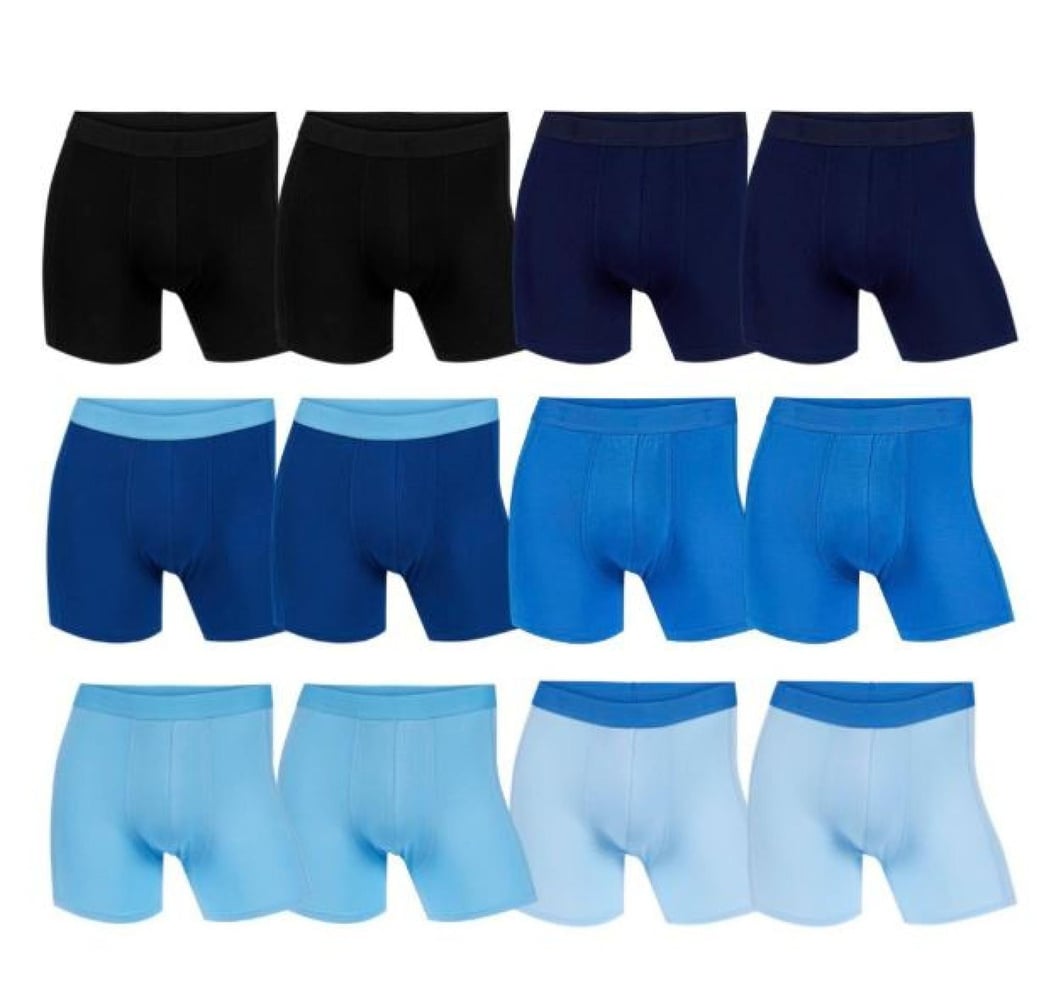 productImage: Boxer Basic Briefs 12-pk Blue