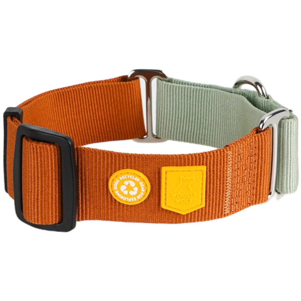 productImage: Color Block Martingale Collar L (40-65 cm) Terracotta Mix