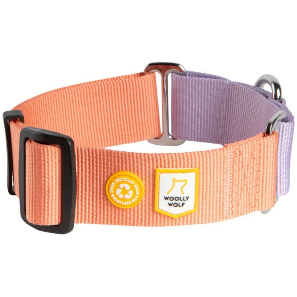productImage: Color Block Martingale Collar L (40-65 cm) Salmon Pink Mix
