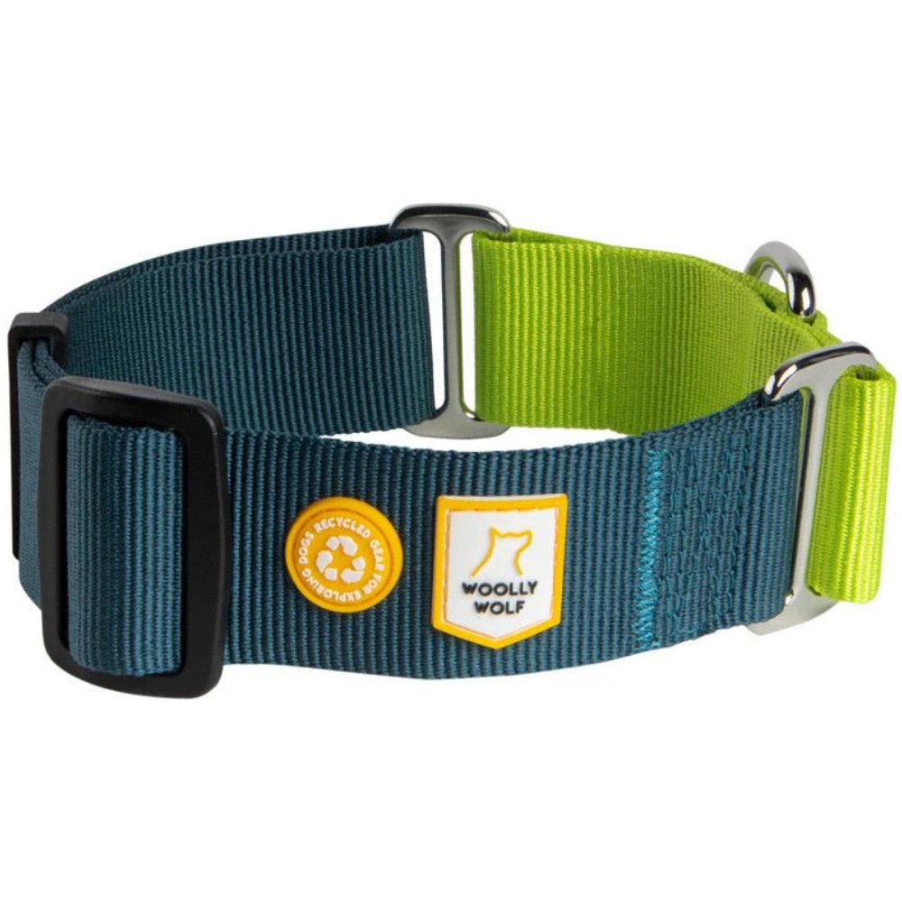 productImage: Color Block Martingale Collar L (40-65 cm) Deep Teal Mix