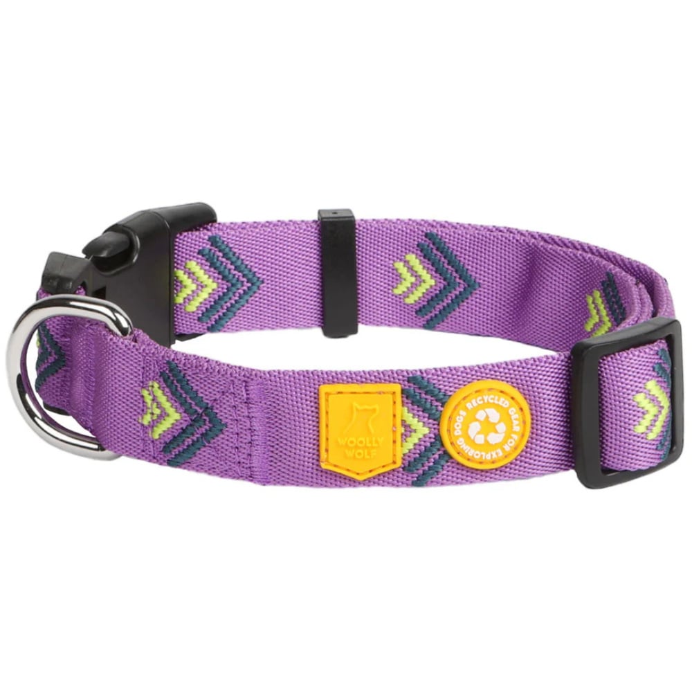 productImage: Northern Lights Collar S (25-35 cm) Violet