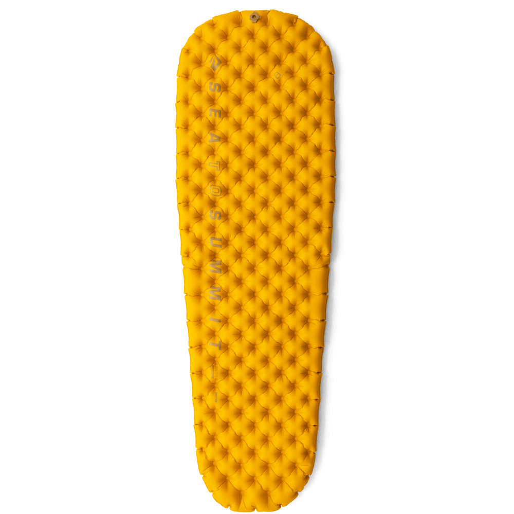 productImage: Mat Ultralight Xr Insulated Asc Mat Large Arrowwood