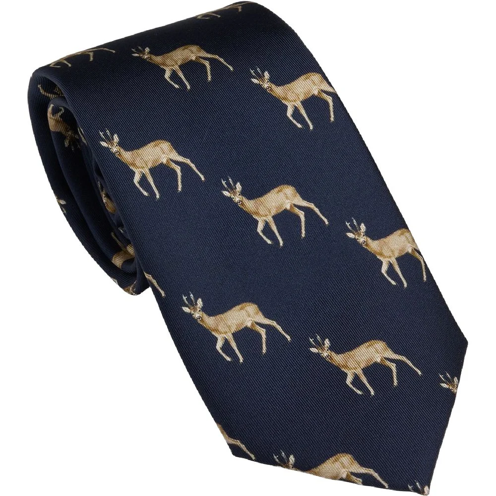 productImage: Roe Buck Tie Old Navy